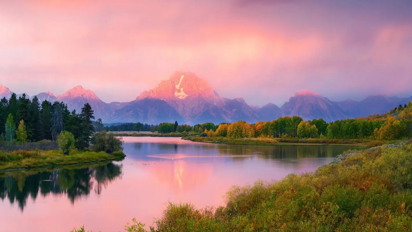 高效独特